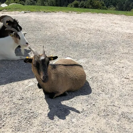 Haizelrock Apartment *