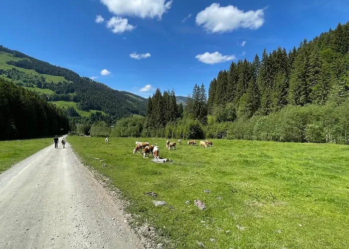 Haizelrock Appartamento *