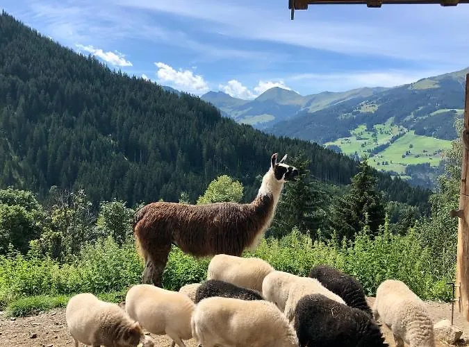 Haizelrock * Kirchberg in Tirol