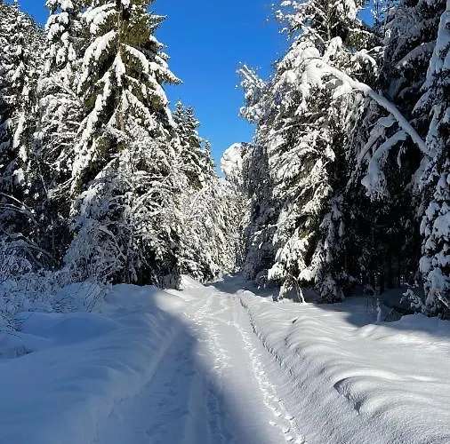 Appartamento Haizelrock