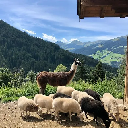 Haizelrock * Kirchberg en Tyrol
